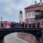 Imagini dinaintea meciului U Cluj - Ararat-Armenia / Foto: GSP