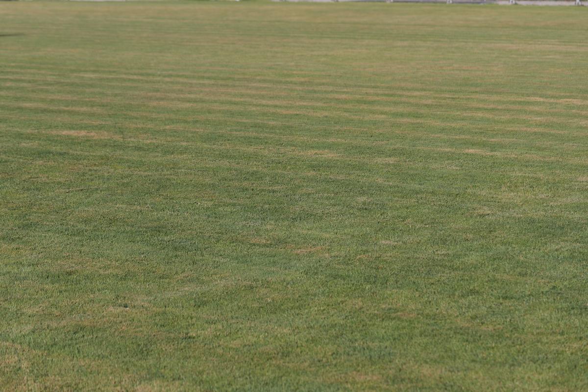 Stadion Turnu Măgurele // foto: Andrei Furnigă (GSP)