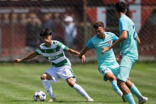 CSC Dumbrăvița și CSM Olimpia Satu Mare, solicitare la FRF // foto: facebook @CSC Dumbravita