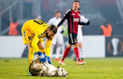 Protocol fără precedent în Liga 1: fotbaliștii, însoțiți de câini înaintea meciurilor