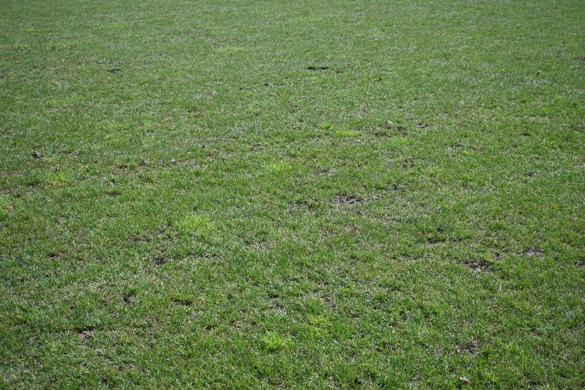Antrenament România Rugby- Arcul de Triumf