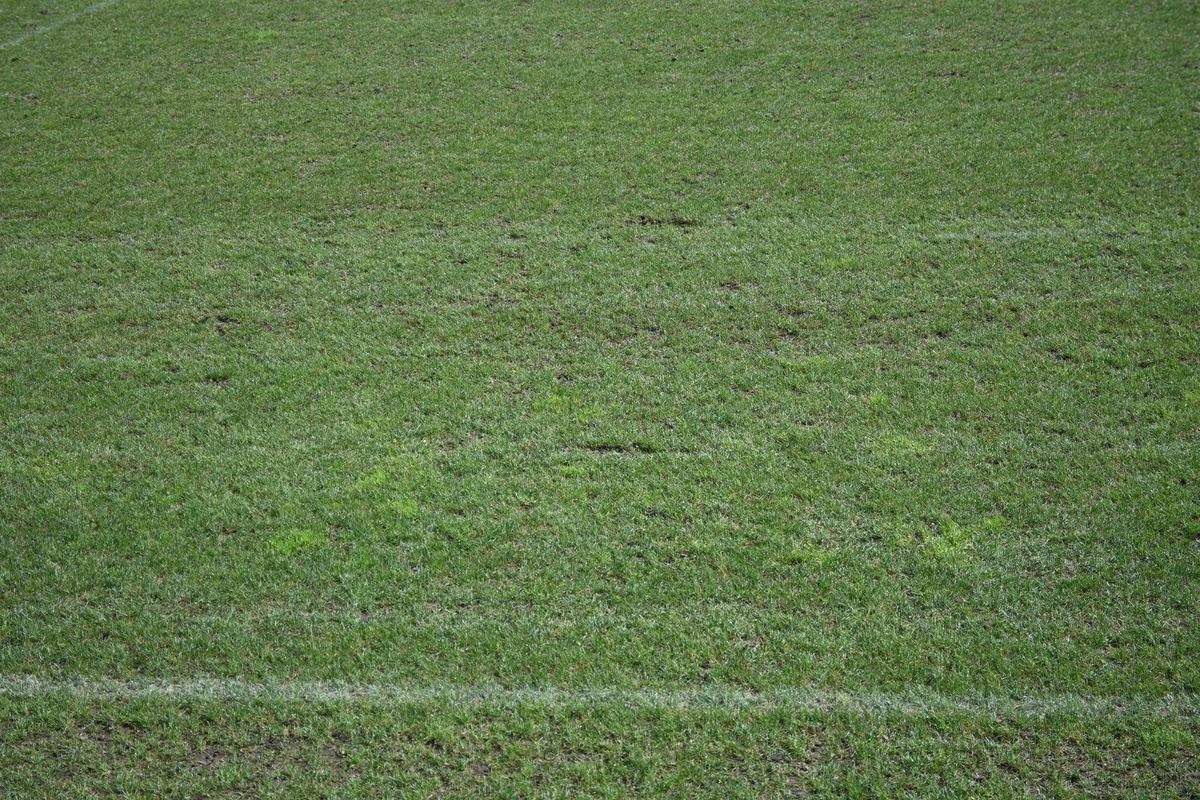 Antrenament România Rugby- Arcul de Triumf