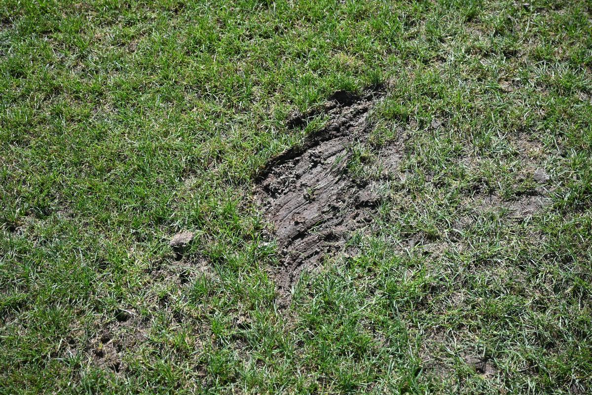 Antrenament România Rugby- Arcul de Triumf