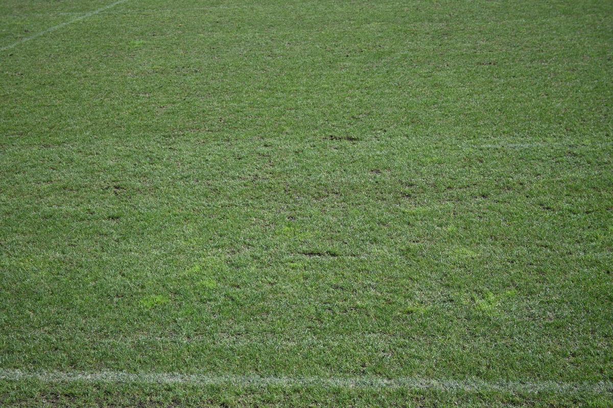 Antrenament România Rugby- Arcul de Triumf