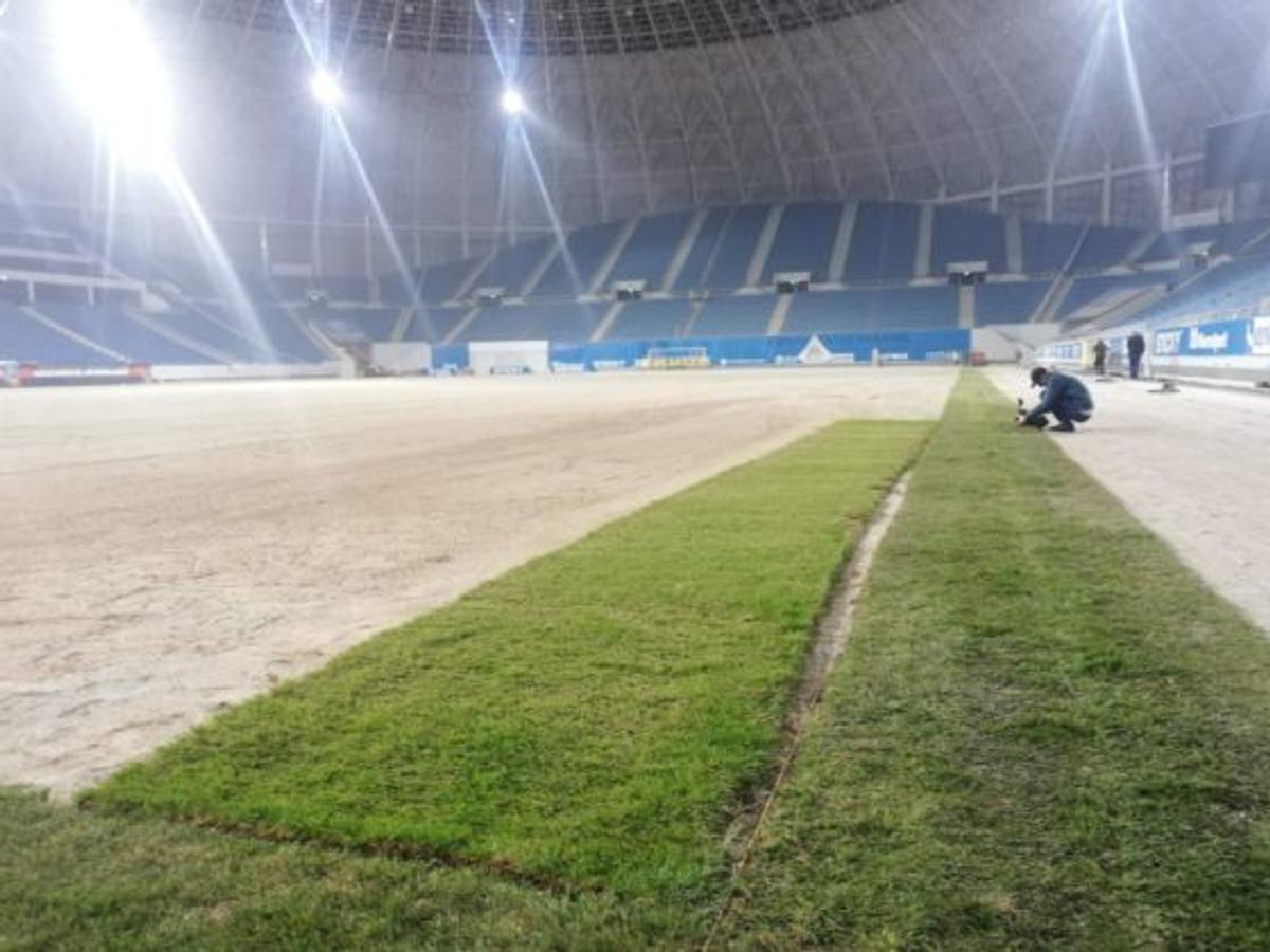 CS UNIVERSITATEA CRAIOVA // VIDEO + FOTO Iată cum arată noul gazon hibrid de 700.000 de euro de pe „Ion Oblemenco”