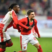 Sărbătoare pe gazon după Dinamo - CFR Cluj / Foto: Cristi Preda (GSP)