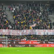 Banner PCH, în Dinamo - CFR Cluj/ FOTO Cristi Preda (GSP)