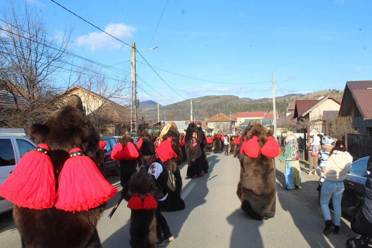 Mihaela Cambei, apariție inedită în ultima zi a anului