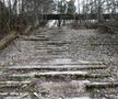 Imagini din Pripyat, Ucraina, anul 2025 / FOTO: Imago