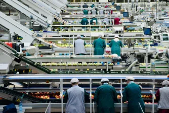 Европейските фабрики се връщат към растеж, активността в Азия се свива