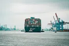 Новата мисия на AI: Да помогне на бизнеса да се ориентира в търговската война