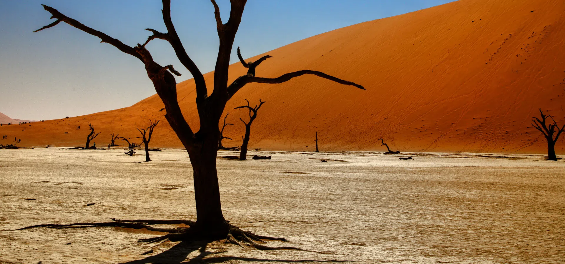 Западна Европа официално преживя най горещия юни в историята си като