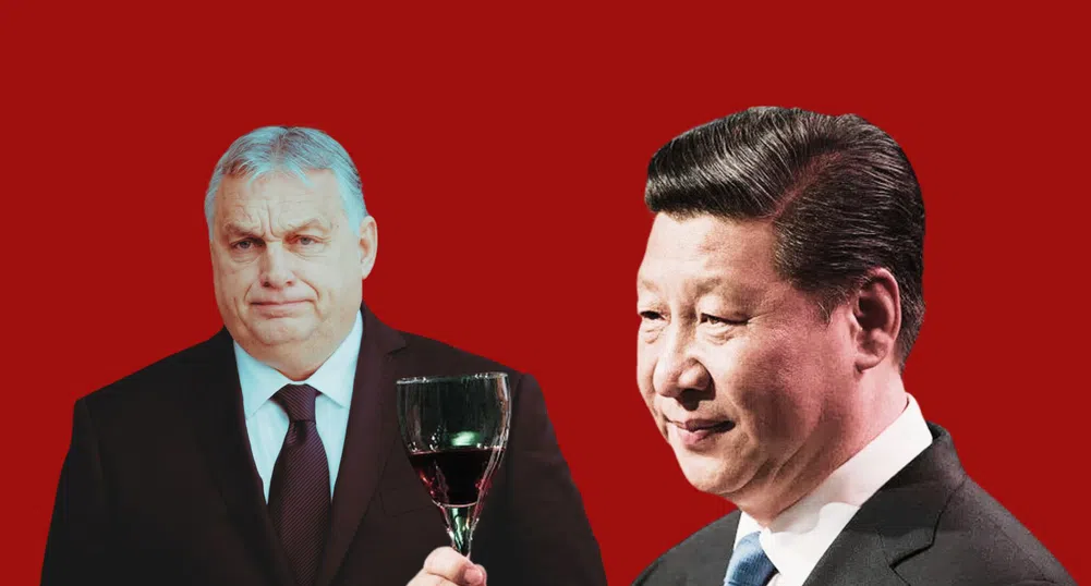  „Приятелство, богато като токайско вино“: Колко печели Унгария от връзките си с Китай 