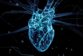 Технологията напредва, но може да минат няколко десетилетия, преди да произвеждаме изкуствени сърца и бели дробове