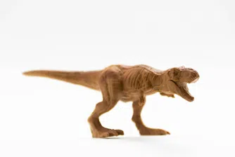 Драконовият принц на Монголия: Най-близкият известен роднина на T. Rex