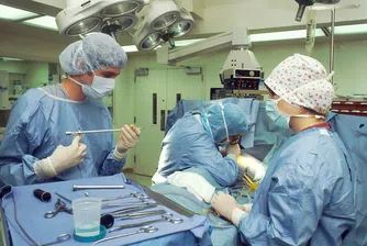 Учените с важна крачка в трансплантирането на животински органи на хора
