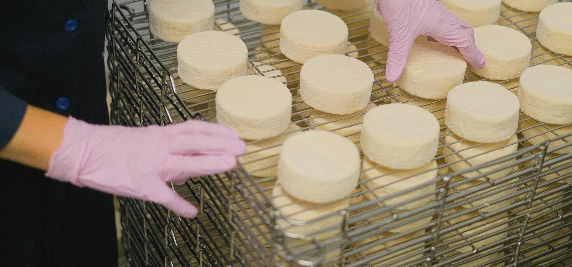 КНСБ: Цените на млечните продукти в България са едни от най-високите в Европа