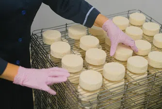 КНСБ: Цените на млечните продукти в България са едни от най-високите в Европа