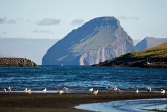Арктическите лидери предупреждават за нарастващ риск от хибридна война в далечния север