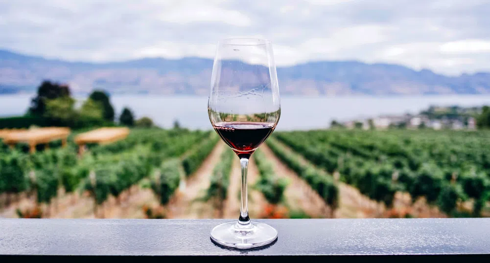 AI помага на винопроизводители да се харесат на по-млади ценители
