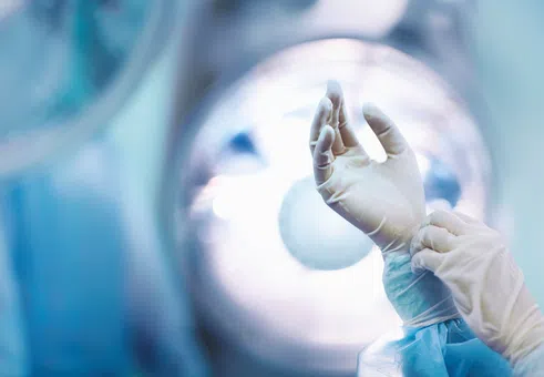 МОН: Доходите на младите висшисти в България се утрояват за десетилетие, интересът към инженерните и медицински специалности расте