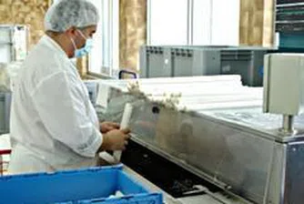 Etropal Posts 1.7 Mln Leva Net Consolidated Profit