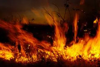 Изгоряха 10 дка лозя край Враца, загубите надхвърлят 100 хил. лв.