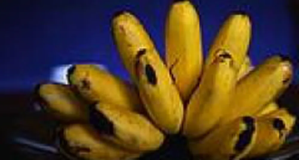 Банани на пътя на споразумението за глобална търговия