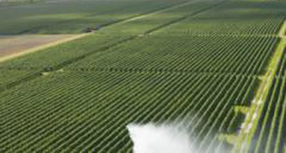 Агро Финанс АДСИЦ е придобило 10 306 дка земеделка земя към края на 2006 г.