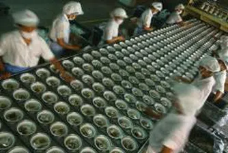 „Ренесанс” АД започна преустройство на бивша консервна фабрика във Видин