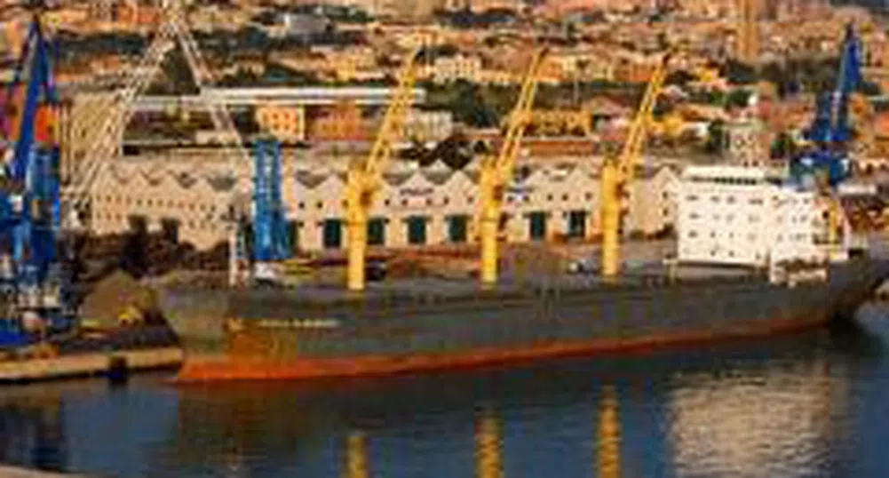 Изнасяме най-много за Италия, вносът е от Русия и Германия