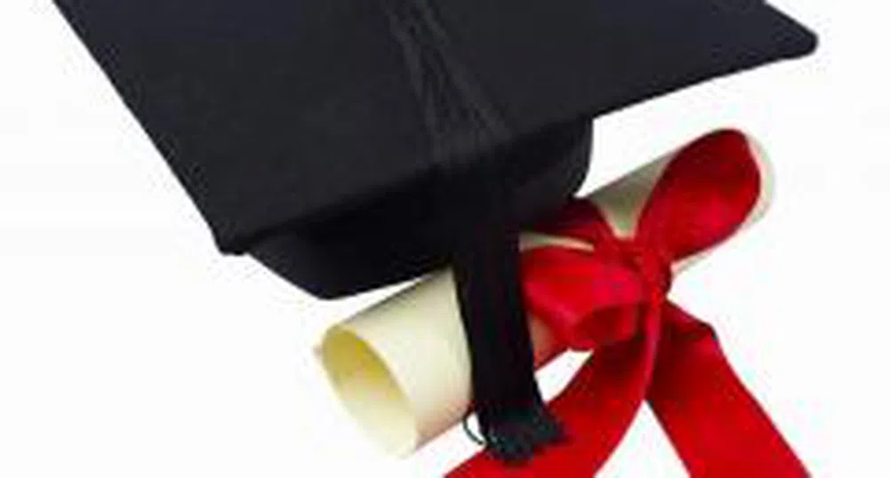 Businesses Describe Level of Higher Education as Medium