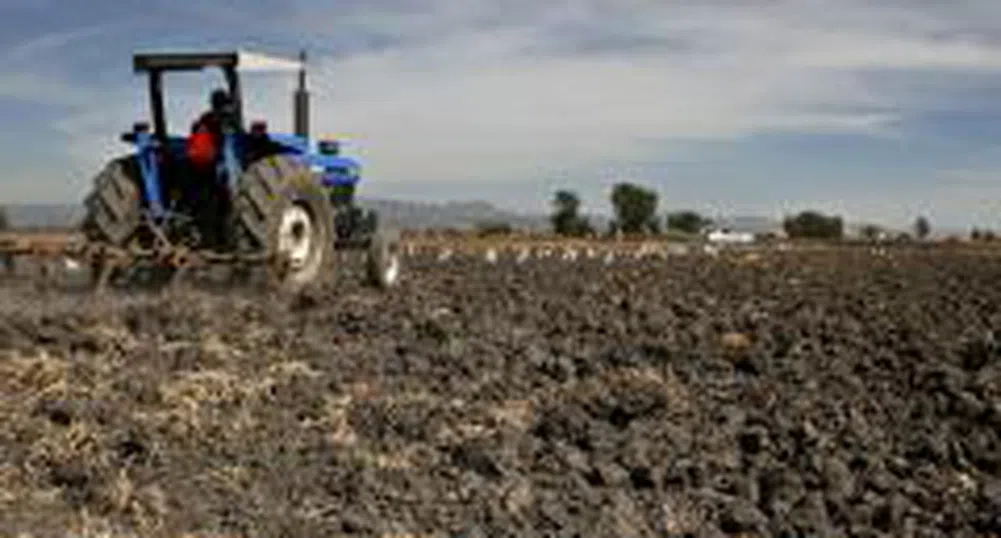 Земеделската земя в България е поскъпнала с 50%