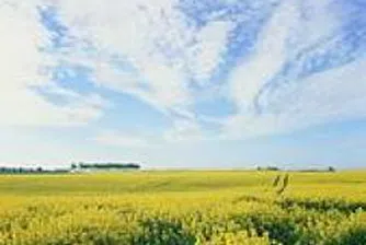 ОИСР: Цените на храните ще се запазят високи през следващите 10 г.