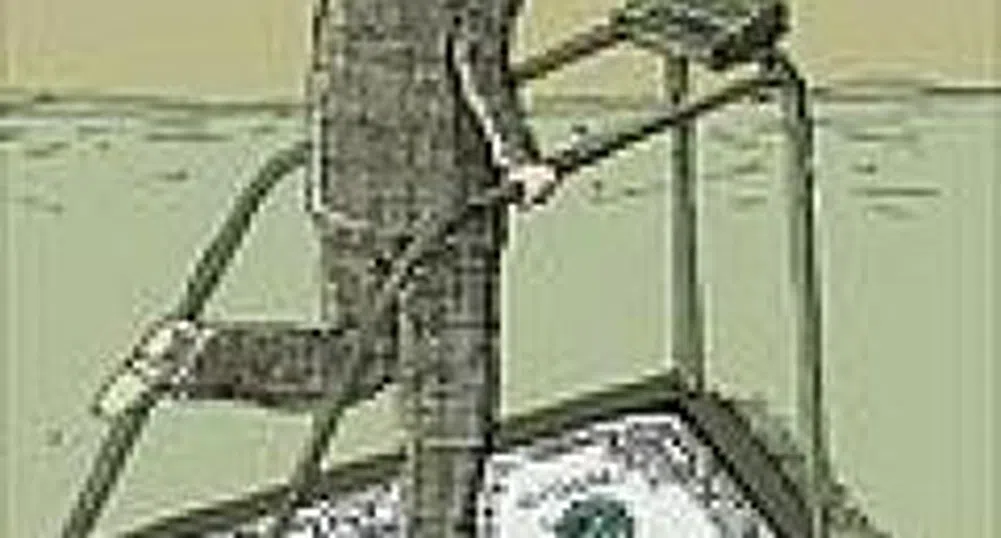 Women's Unemployment in Bulgaria Close to European Standards