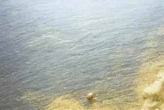 Производството на злато от ЮАР се е понижило с 7.4% за 2007 г.