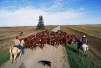 Фермери от Пловдивско подкрепиха протеста на колегите си от Врачанския район