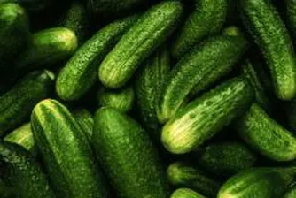 Краставиците и доматите поскъпнаха най-много за седмицата