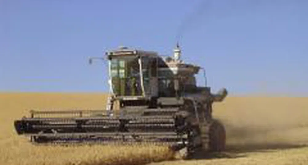 Средни добиви на зърно - най-високите за последните 16 г.