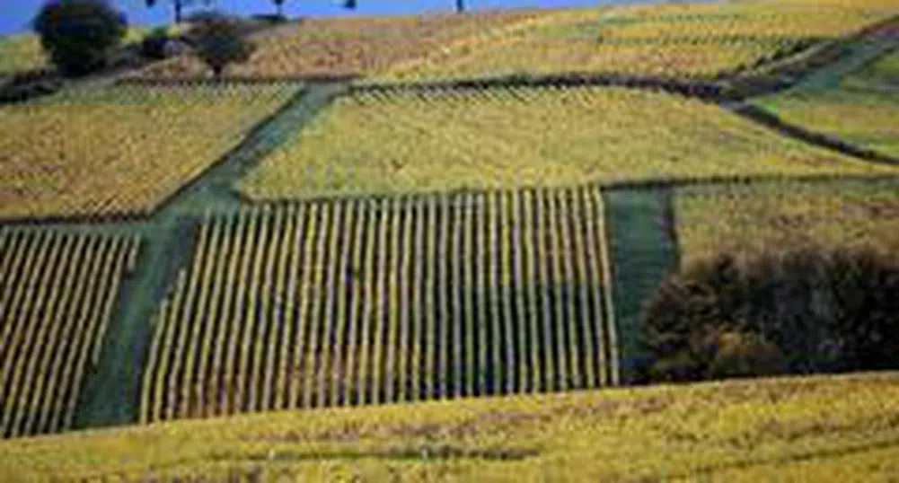 Agricultural Land Opportunity Fund Mel Invest Plans to Acquire New Properties