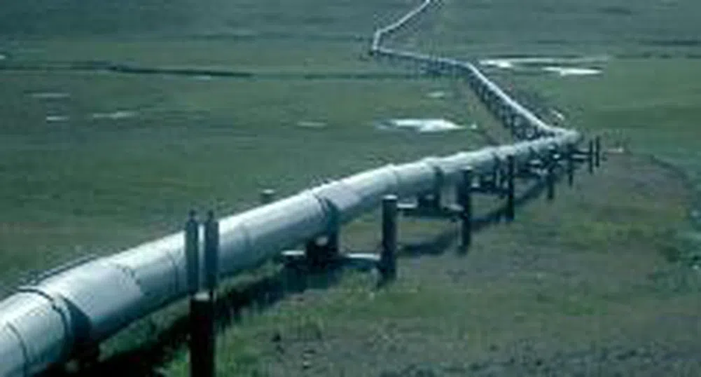 Putin Tells Stanishev Prerequisites for the South Stream Project Are Improving