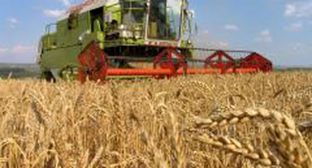 Стартовата цена на пшеницата по-ниска от 2007 г.