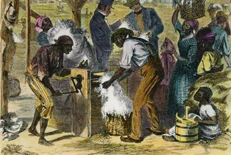 Ротшилд поднесе извинение за връзката с търговията с роби
