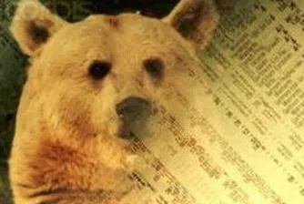 Мечите фондове идват на мода?