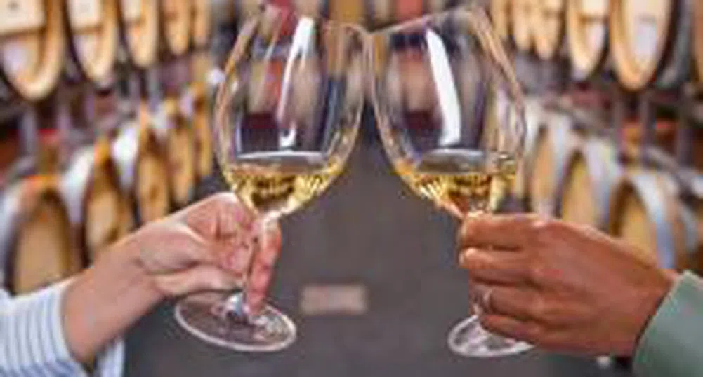 838 мостри в националния конкурс за най-качествени вина, ракии и бренди