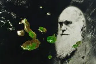 За какво Дарвин е харчил парите си?
