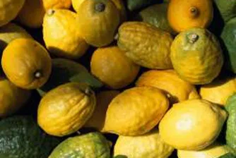 Цената на олиото и на лимоните е с 81 на сто по-висока от преди година