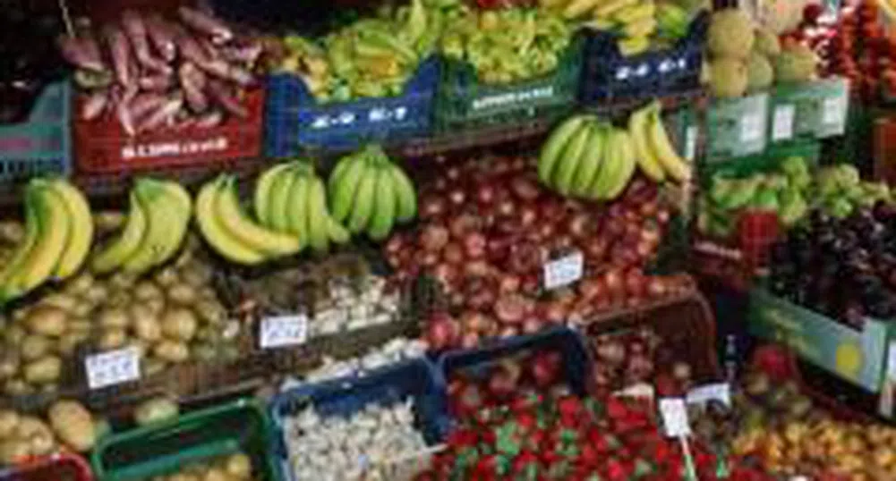 Недостиг на суровини принуждава консервните фабрики да внасят плодове и зеленчуци от чужбина