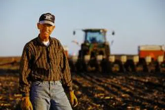 Само румънци и българи в земеделието във Великобритания и Ирландия през 2008 г.