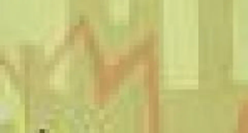 Assets Of Bulgarian Funds Drop 78 Mln leva In November